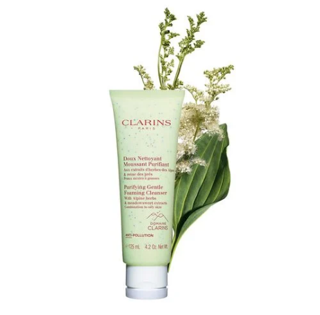 CLARINS PURIFYING GENTLE.png