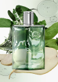 Hermes H24 Herbes Vives woda perfumowana