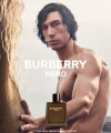 Burberry Hero Parfum perfumy dla mężczyzn