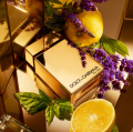 Dolce&amp;Gabbana The One Pour Homme Gold Intense woda perfumowana