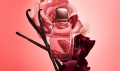 Narciso Rodriguez all of me intense woda perfumowana dla kobiet