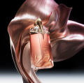 Mugler Alien Goddess Supra Florale woda perfumowana