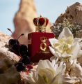 Dolce & Gabanna Q Elixir