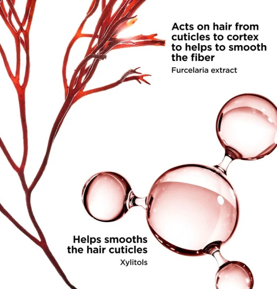 Clarins Hair odżywka do włosów
