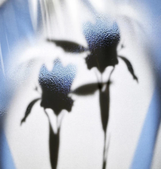 Brioni Les Extraits de Parfum Iris Exquis extract parfum